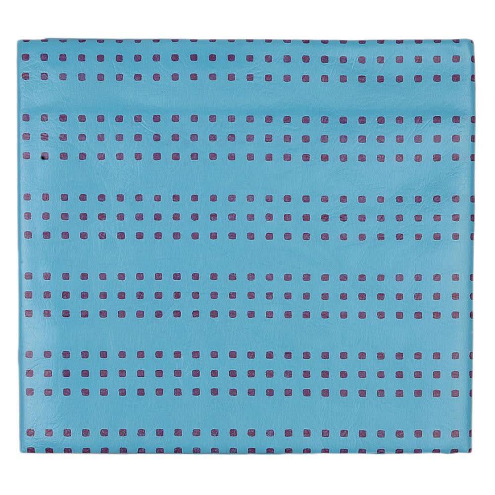 Newborn Plastic Sheet - Sky Blue - test-store-for-chase-value