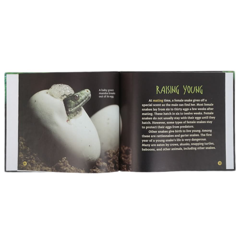 General Knowledge Big Snakes, Kids, Kids Educational Books, 6 to 9 Years, Chase Value