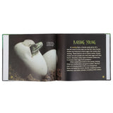 General Knowledge Big Snakes, Kids, Kids Educational Books, 6 to 9 Years, Chase Value
