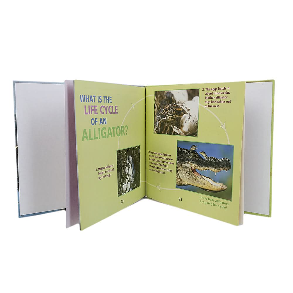 Learning  Fun Facts About Alligators!, Kids, Kids Educational Books, 3 to 6 Years, Chase Value
