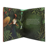 Story Georgia In Hawaii, Kids, Kids Story Books, 6 to 9 Years, Chase Value