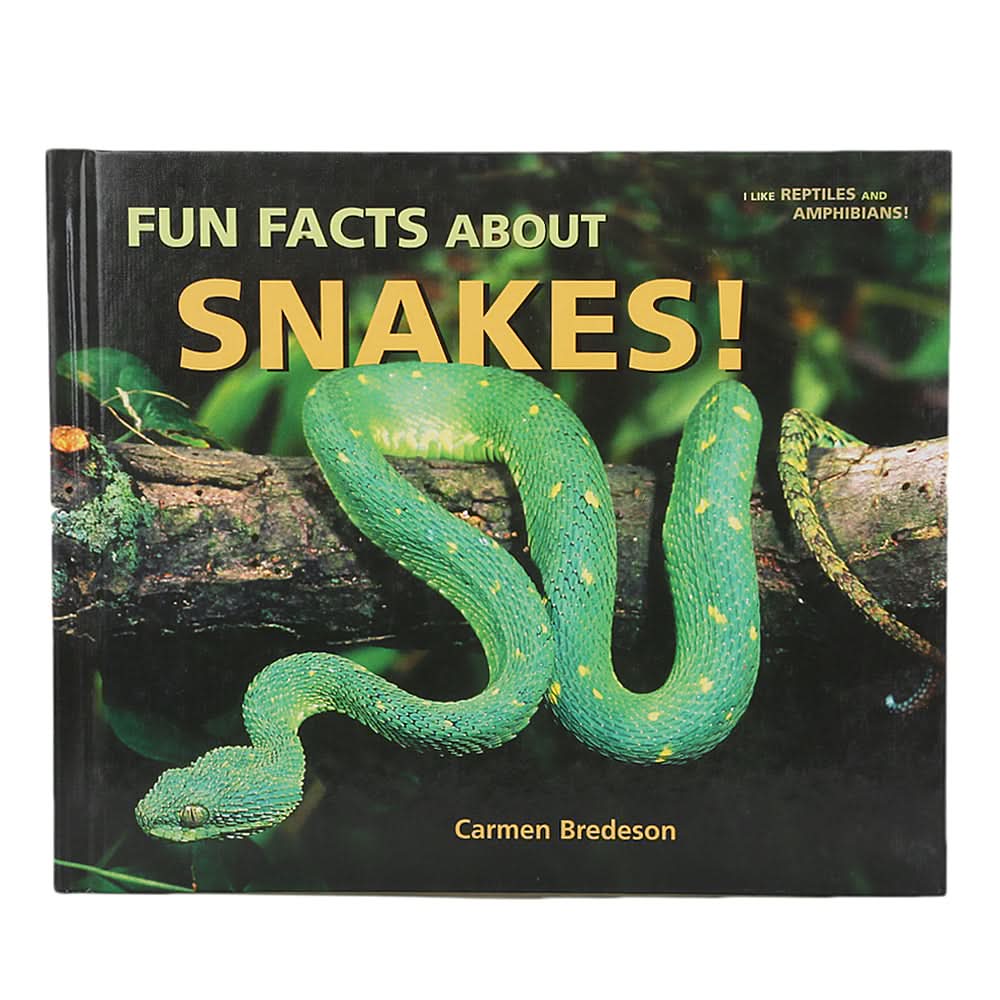 Learning  Fun Facts About Snakes!, Kids, Kids Educational Books, 3 to 6 Years, Chase Value