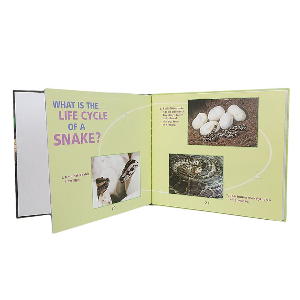 Learning  Fun Facts About Snakes!, Kids, Kids Educational Books, 3 to 6 Years, Chase Value