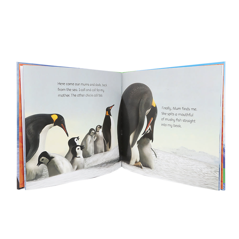 General Knowledge Animal Planet Penguin, Kids, Kids Educational Books, 9 to 12 Years, Chase Value