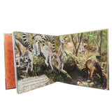 General Knowledge Animal Planet Lemur, Kids, Kids Educational Books, 9 to 12 Years, Chase Value