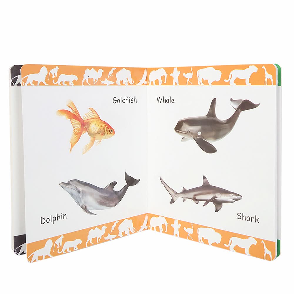 Big Board Animal & Birds, Kids, Kids Educational Books, 3 to 6 Years, Chase Value
