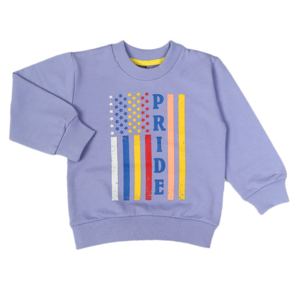 Boys Terry Sweat Shirt - Light Purple, Boys Hoodies & Sweat Shirts, Chase Value, Chase Value