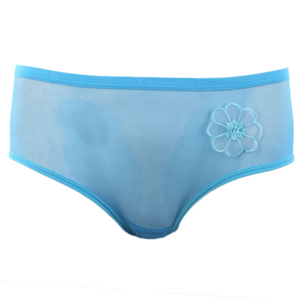 Women's Panty - Blue, Women, Panties, Chase Value, Chase Value