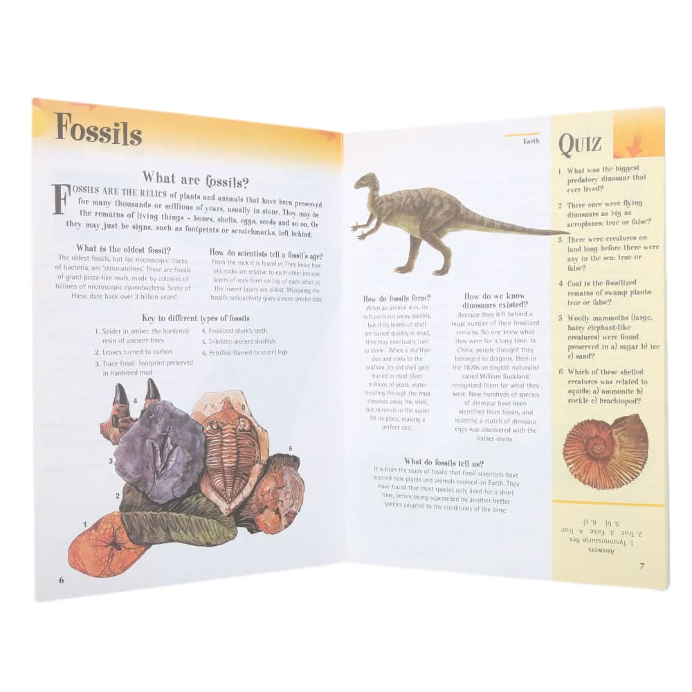 General Knowledge Questions & Answers Earth, Kids, Kids Educational Books, 6 to 9 Years, Chase Value