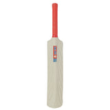 Cricket Bat - Plastic Fiber, Kids, Sports, Chase Value, Chase Value