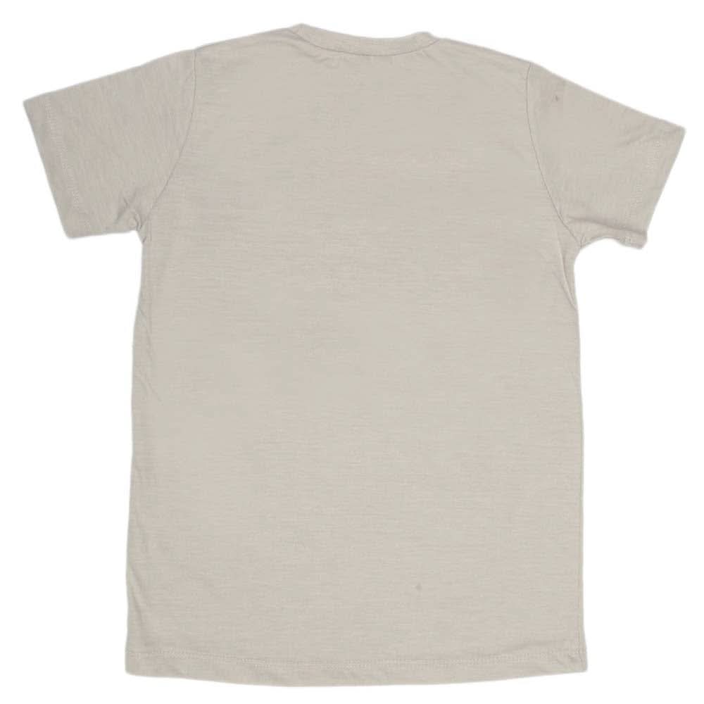 Boys Print T-Shirt - Silver, Kids, Boys T-Shirts, Chase Value, Chase Value