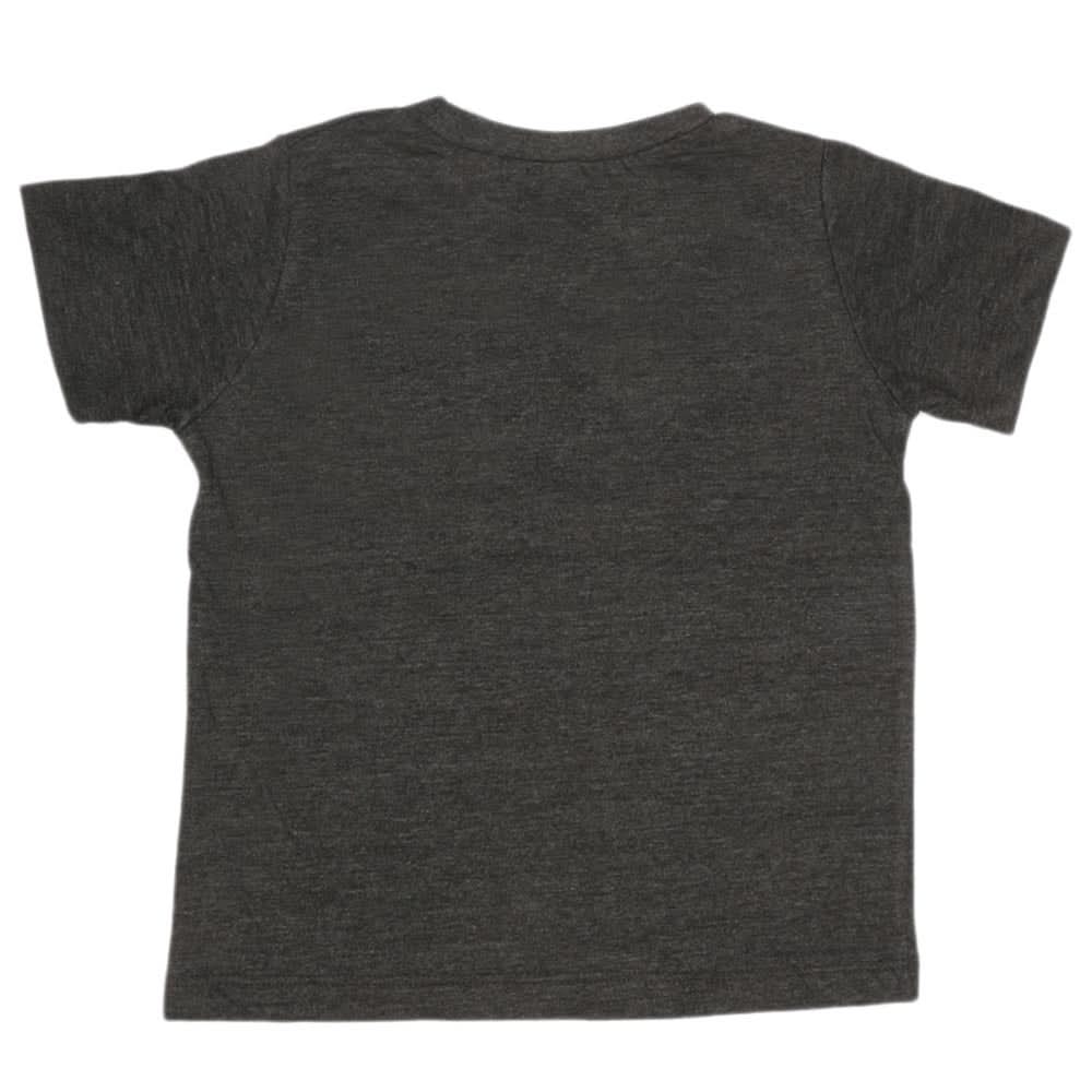 Boys Print T-Shirt - Grey, Kids, Boys T-Shirts, Chase Value, Chase Value