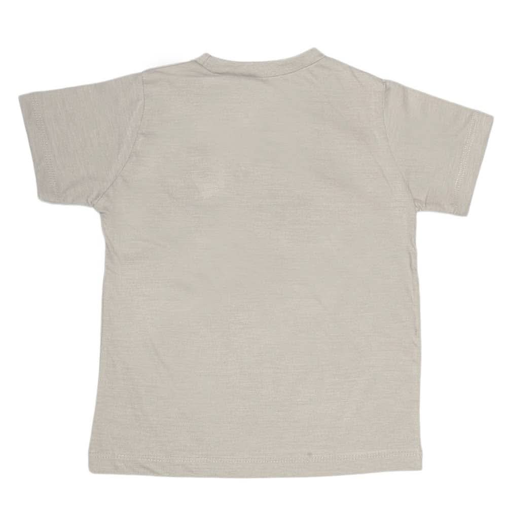 Boys Print T-Shirt - Light Grey, Kids, Boys T-Shirts, Chase Value, Chase Value