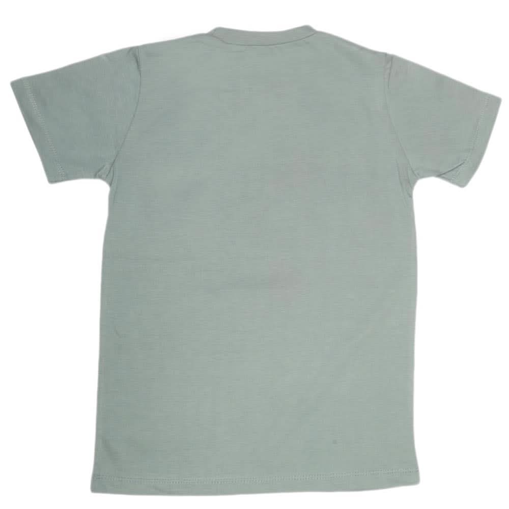 Boys Print T-Shirt - Grey, Kids, Boys T-Shirts, Chase Value, Chase Value