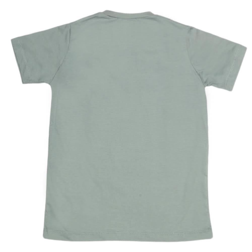 Boys Print T-Shirt - Grey, Kids, Boys T-Shirts, Chase Value, Chase Value