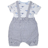 Newborn Boys Romper - Blue, Kids, New Born Boys Rompers, Chase Value, Chase Value