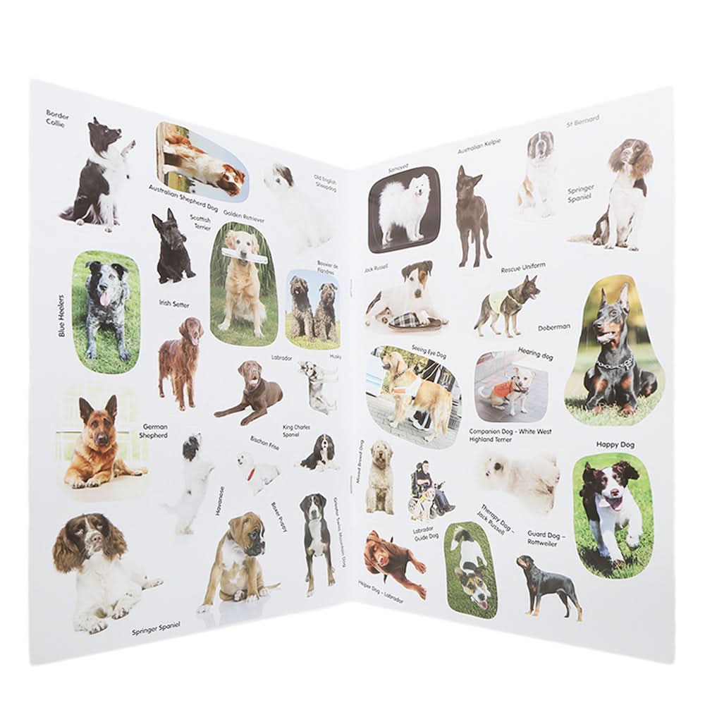 Dogs Book, Kids, Kids Colouring Books, 3 to 6 Years, Chase Value