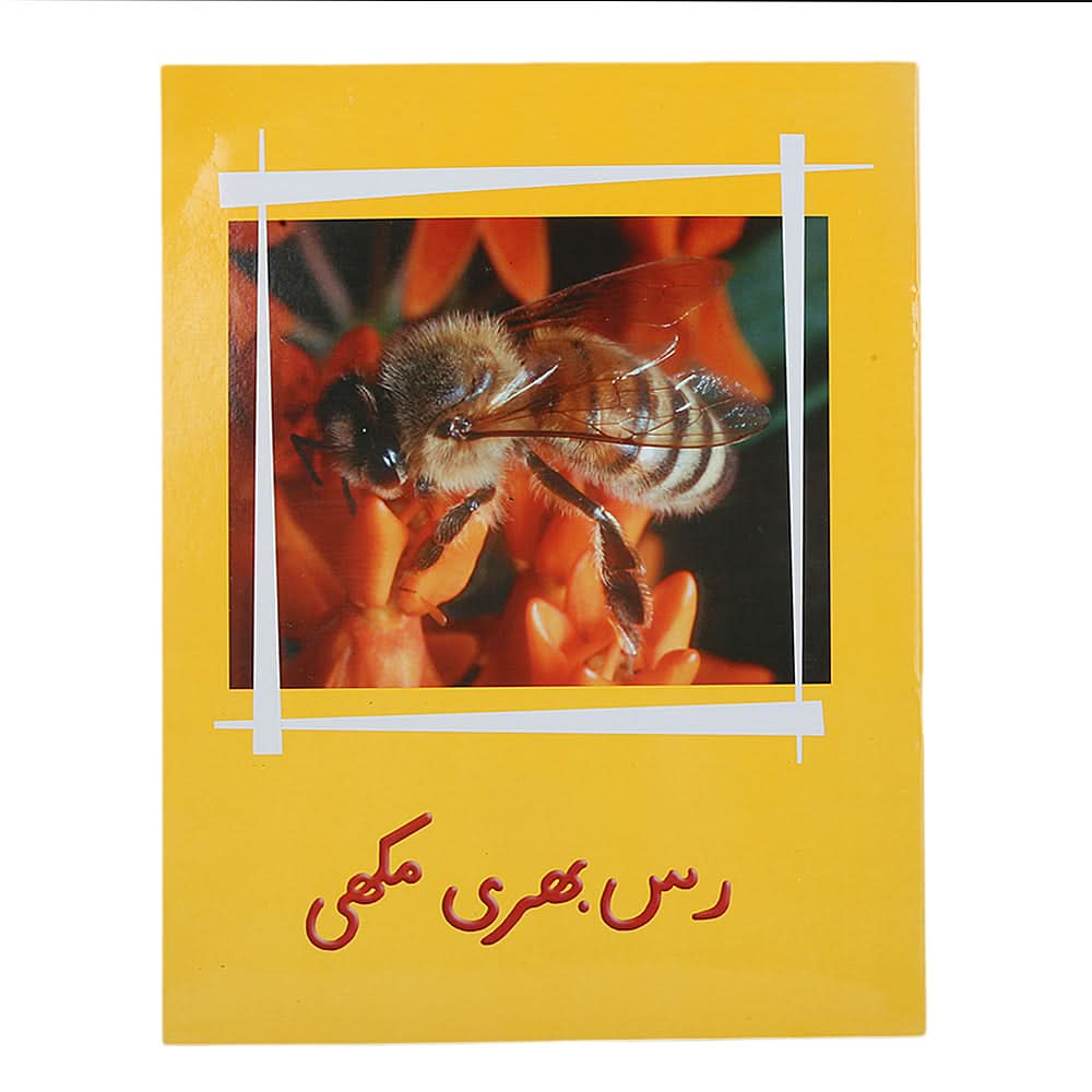 Story Rus Bhari Makhi, Kids, Kids Story Books, 9 to 12 Years, Chase Value