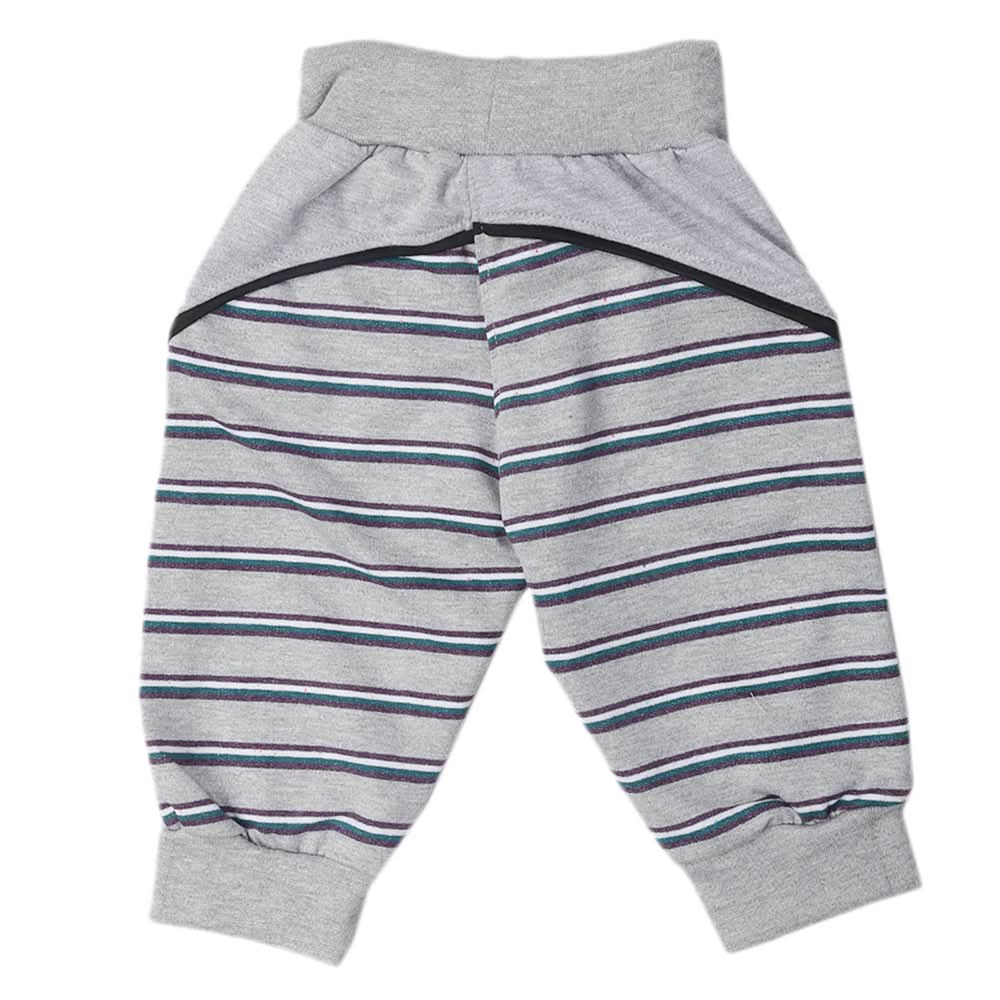 Boys Bermuda - Grey, Kids, Boys Shorts, Chase Value, Chase Value