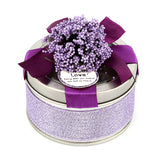 Gift Box - Purple, Home & Lifestyle, Storage Boxes, Chase Value, Chase Value