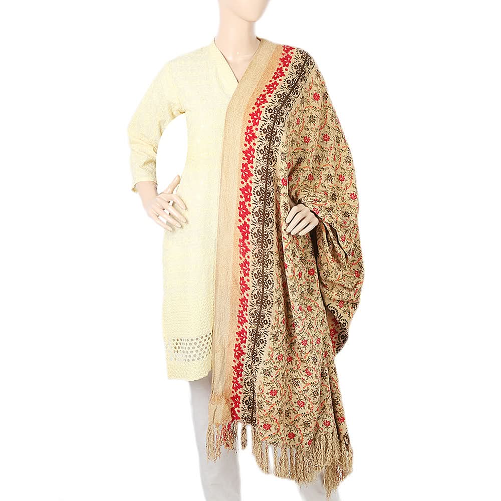Women Velvet Print  Peoar Shawl - Multi - C, Women, Shawls And Scarves, Chase Value, Chase Value