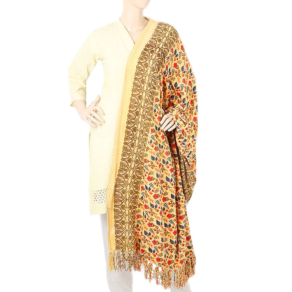 Women Velvet Print  Peoar Shawl - Multi - B, Women, Shawls And Scarves, Chase Value, Chase Value