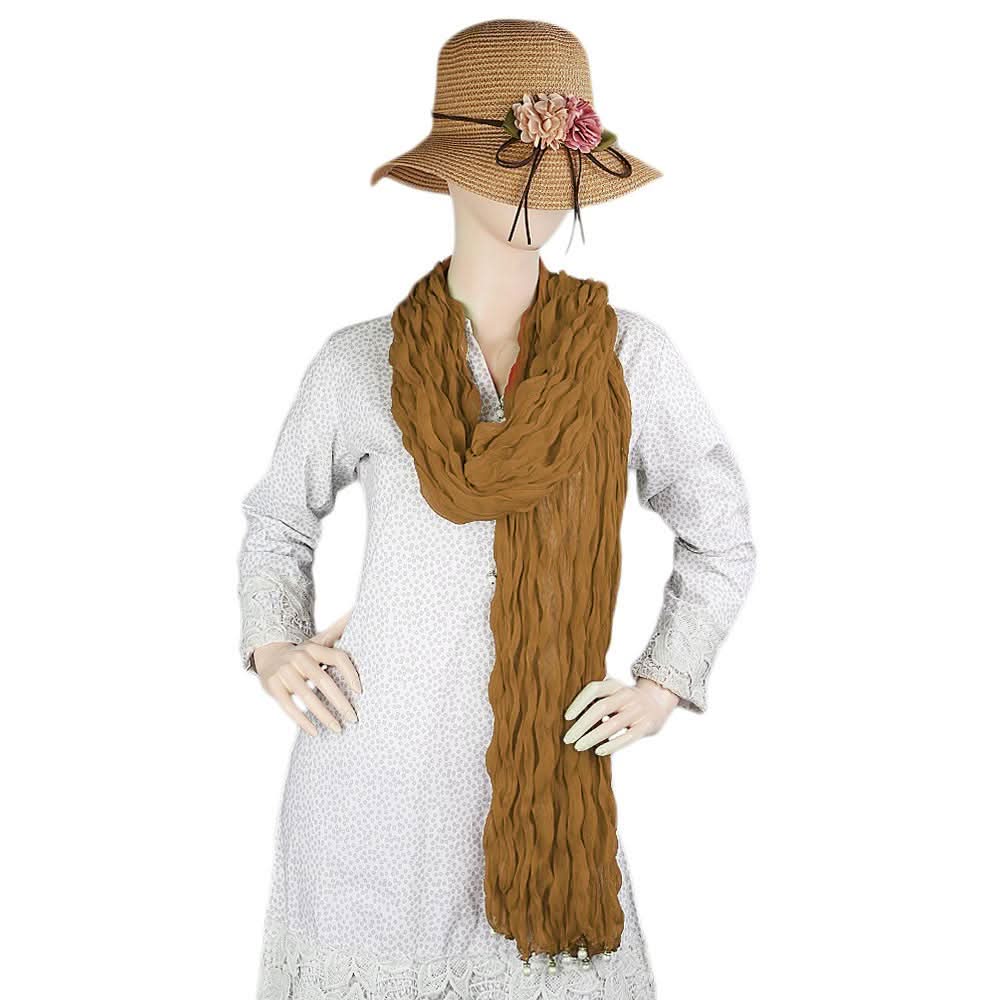 Women's Chiffon Dupatta - Brown, Women, Dupatta, Chase Value, Chase Value