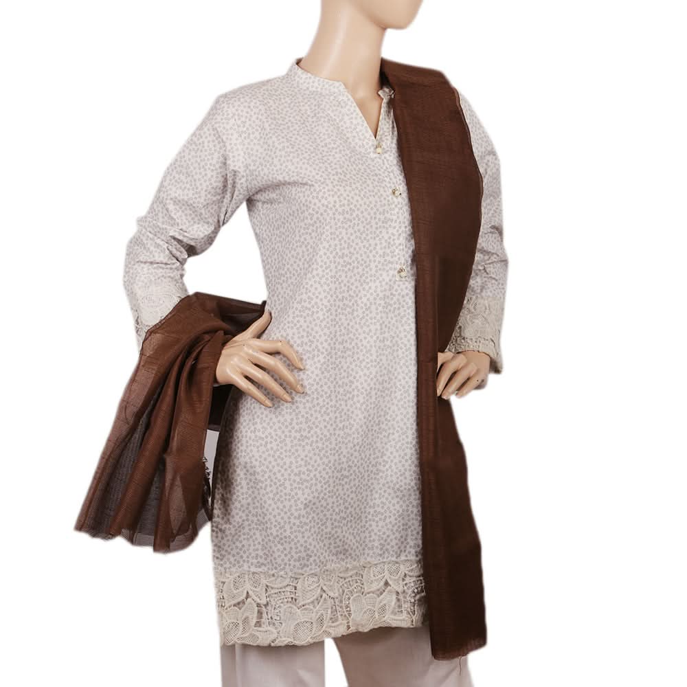 Women's Net Dupatta - Brown, Women Dupatta, Chase Value, Chase Value