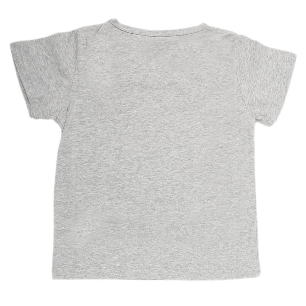 Boys Half Sleeves T-Shirt - Grey, Kids, Boys T-Shirts, Chase Value, Chase Value