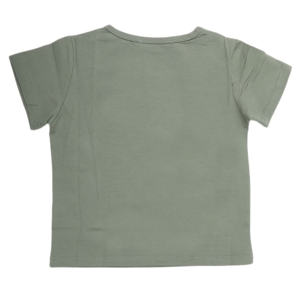 Boys Half Sleeves T-Shirt - Green, Kids, Boys T-Shirts, Chase Value, Chase Value