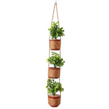 Hanging Flower 3 Pot - B, Decoration, Chase Value, Chase Value