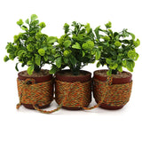 Hanging Flower 3 Pot - B, Decoration, Chase Value, Chase Value