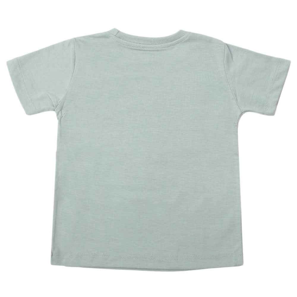 Boys Half Sleeves T-Shirt - Light Green, Boys T-Shirts, Chase Value, Chase Value