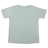 Boys Half Sleeves T-Shirt - Light Green, Boys T-Shirts, Chase Value, Chase Value
