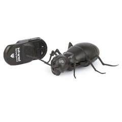 Remote Control Giant Ant For Kid - Black, Kids, Remote Control, Chase Value, Chase Value