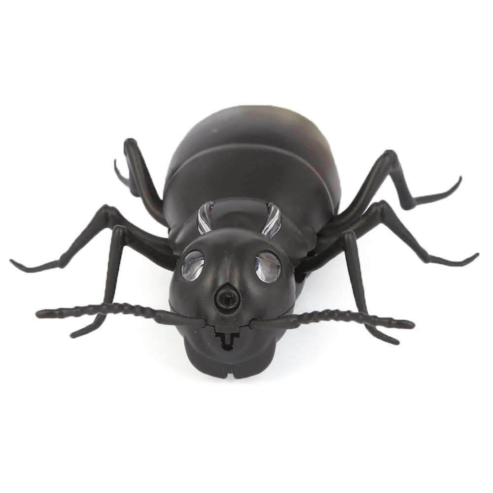 Remote Control Giant Ant For Kid - Black, Kids, Remote Control, Chase Value, Chase Value