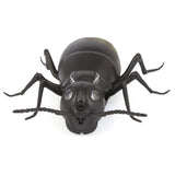 Remote Control Giant Ant For Kid - Black, Kids, Remote Control, Chase Value, Chase Value