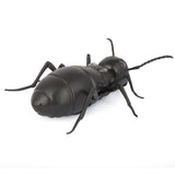 Remote Control Giant Ant For Kid - Black, Kids, Remote Control, Chase Value, Chase Value