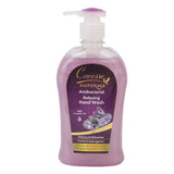 Caresse Hand Wash Antibacterial 500ml, Cosmetics, Chase Value, Chase Value