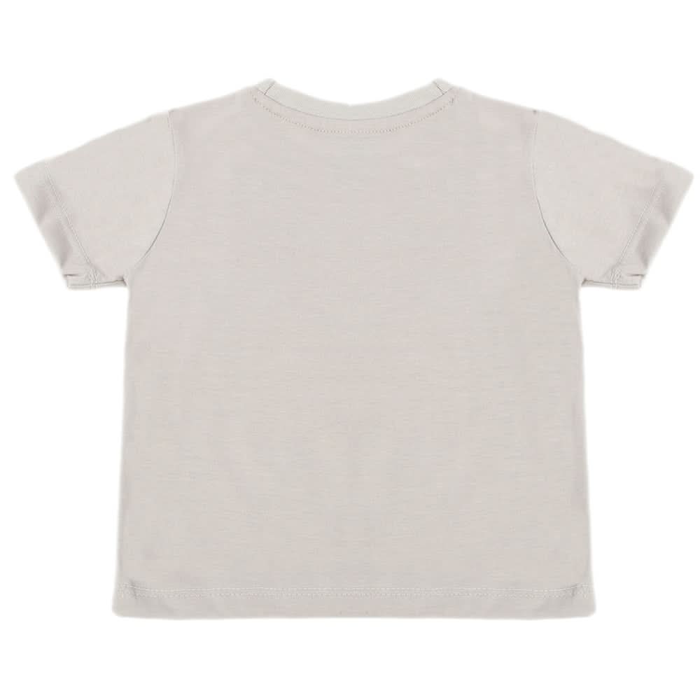 Boys Half Sleeves T-Shirt - Grey, Boys T-Shirts, Chase Value, Chase Value