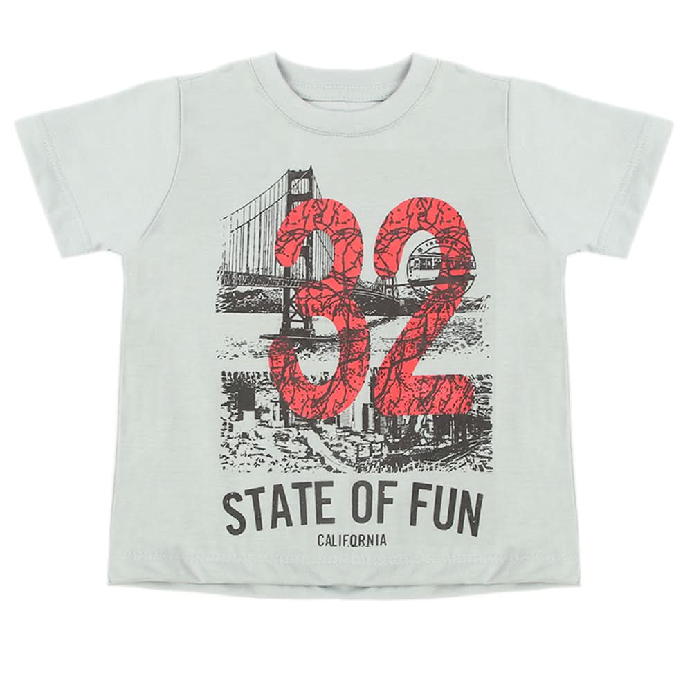 Boys Half Sleeves T-Shirt - Light Grey, Boys T-Shirts, Chase Value, Chase Value