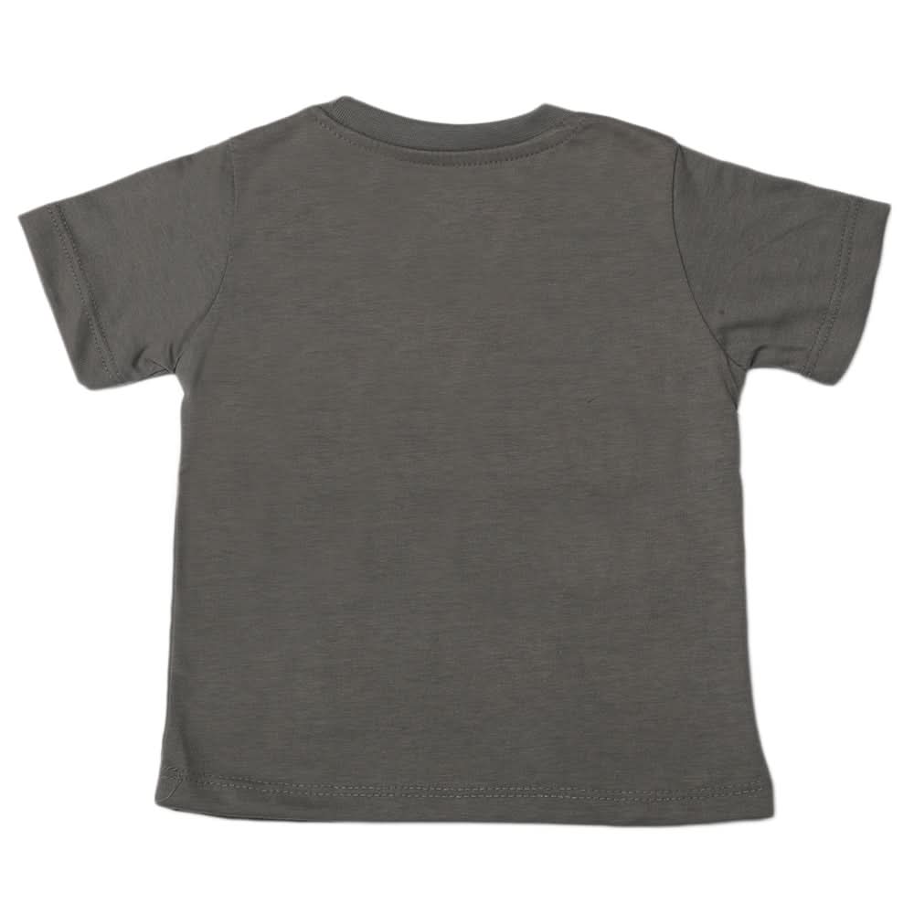 Boys Half Sleeves T-Shirt - Grey, Boys T-Shirts, Chase Value, Chase Value