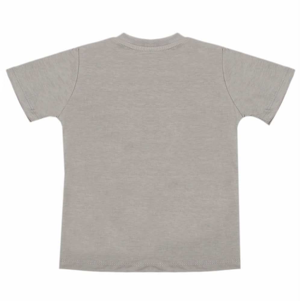 Boys Half Sleeves T-Shirt - Grey, Boys T-Shirts, Chase Value, Chase Value