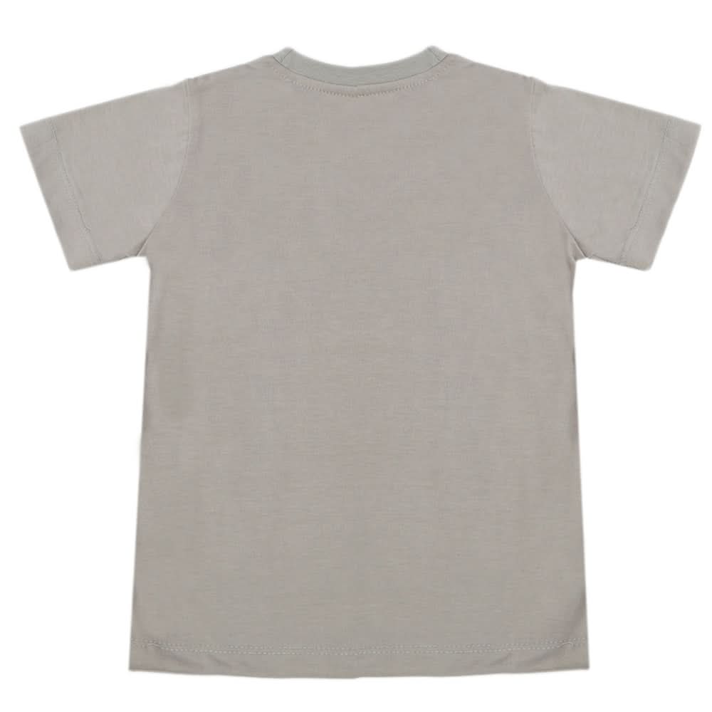Boys Half Sleeves T-Shirt - Grey, Boys T-Shirts, Chase Value, Chase Value