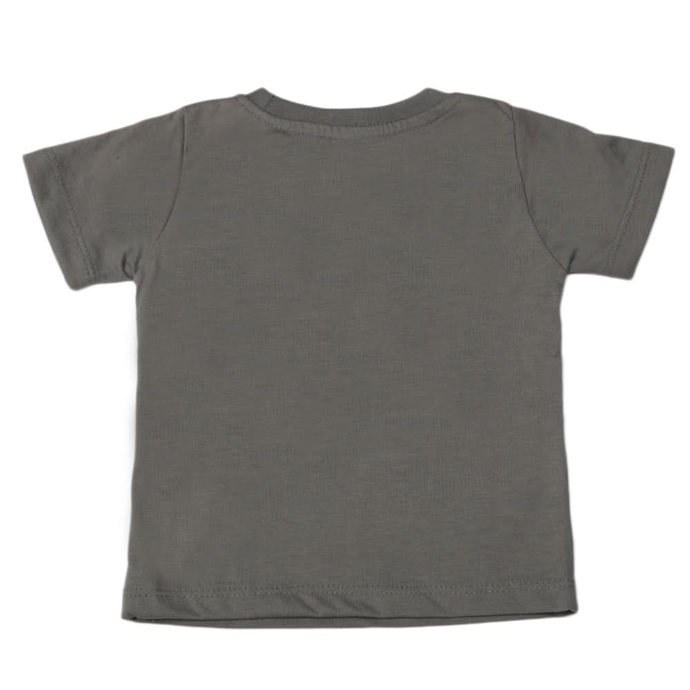 Boys Half Sleeves T-Shirt - Grey, Boys T-Shirts, Chase Value, Chase Value