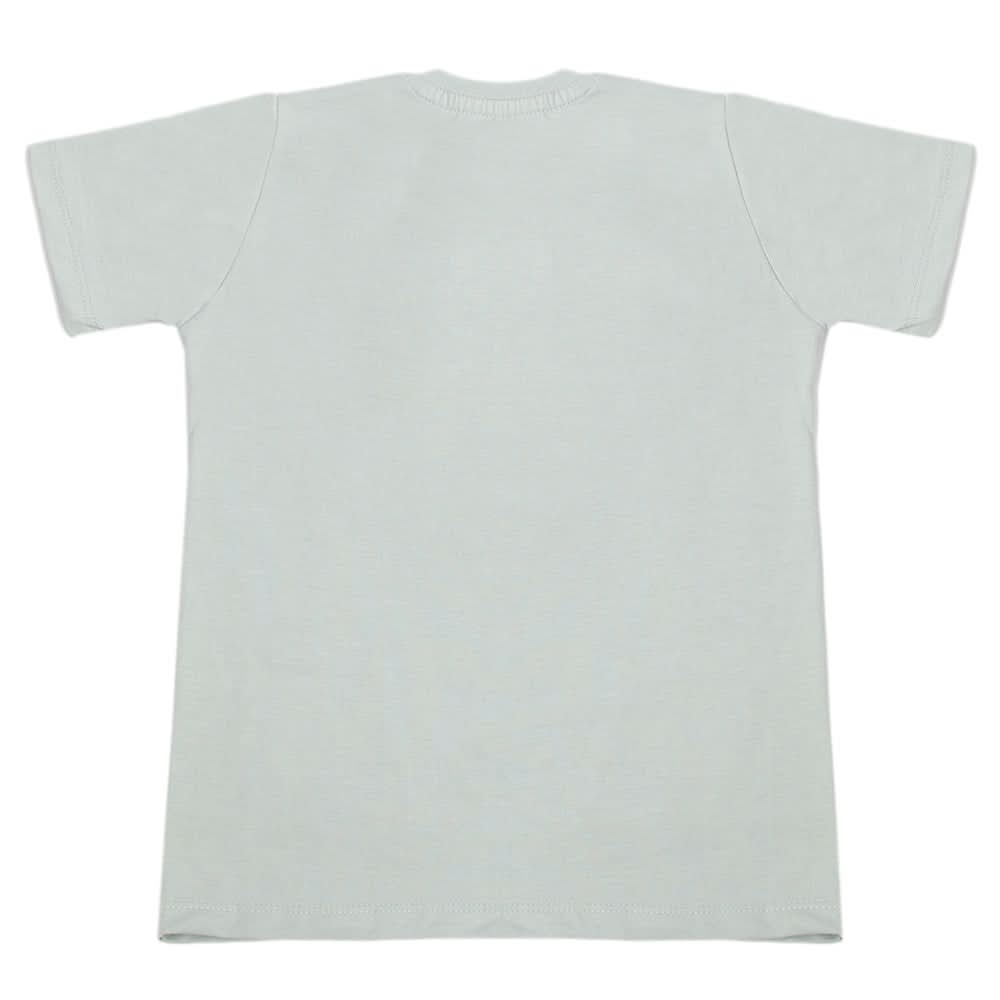 Boys Half Sleeves T-Shirt - Light Grey, Boys T-Shirts, Chase Value, Chase Value