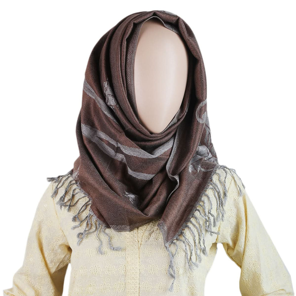 Women Winter Plain Scarf - X1 - Brown, Women, Shawls And Scarves, Chase Value, Chase Value