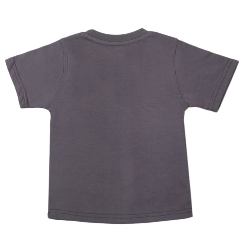 Boys Half Sleeves Logo T-Shirt - Grey, Kids, Boys T-Shirts, Chase Value, Chase Value