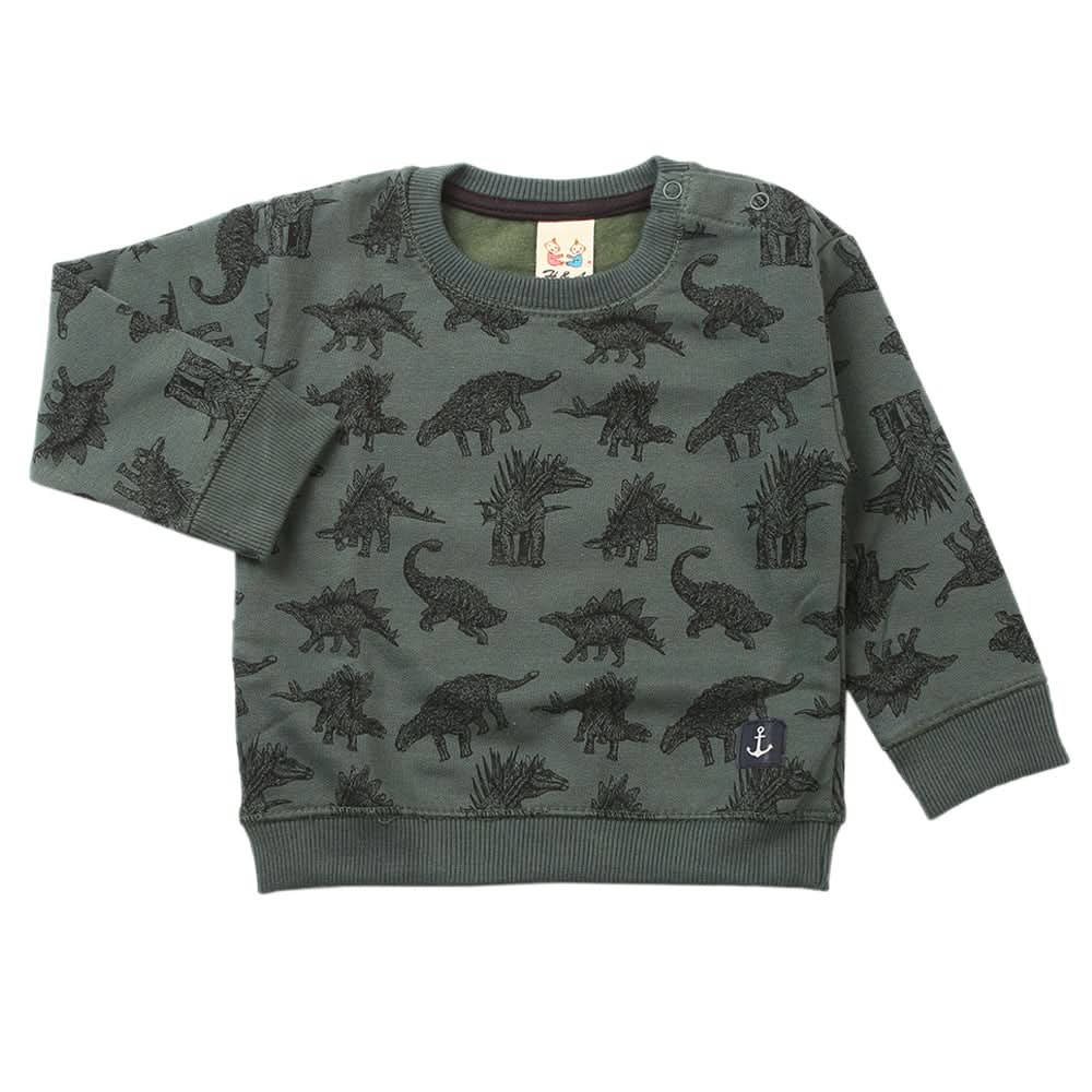 Boys Sweat Shirt - Dark Green, Boys Hoodies & Sweat Shirts, Chase Value, Chase Value