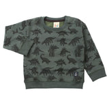 Boys Sweat Shirt - Dark Green, Boys Hoodies & Sweat Shirts, Chase Value, Chase Value